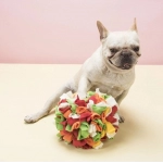 Dog Sniffing Puzzle Ball Interactive Toy Portable Pet Snuffle Ball Encourage Training Educational Pet Slow Dispensing Feeder Toy