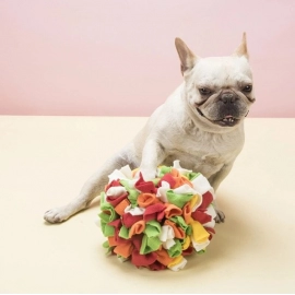 Dog Sniffing Puzzle Ball Interactive Toy Portable Pet Snuffle Ball Encourage Training Educational Pet Slow Dispensing Feeder Toy